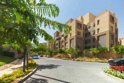 neighborhood image