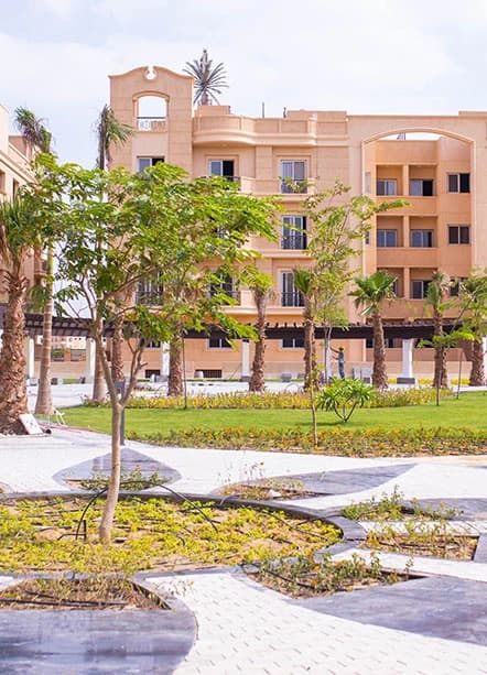 neighborhood image