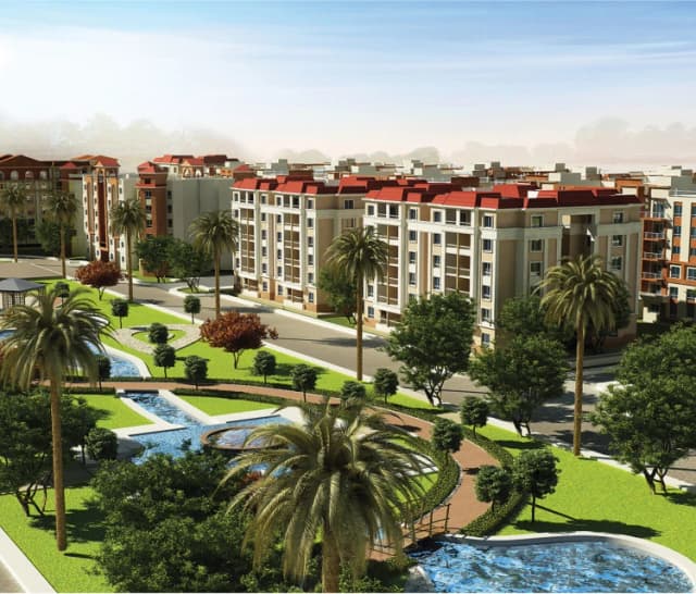 Degla Palms Project