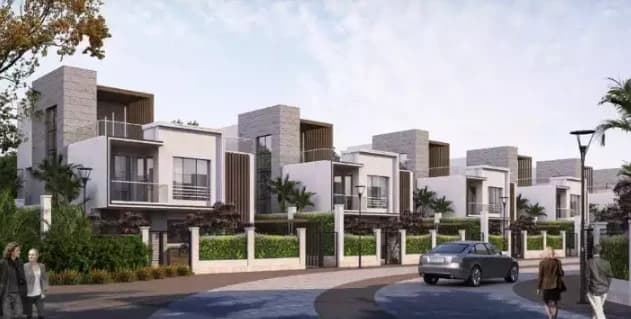 بارك فالى دايموند Project